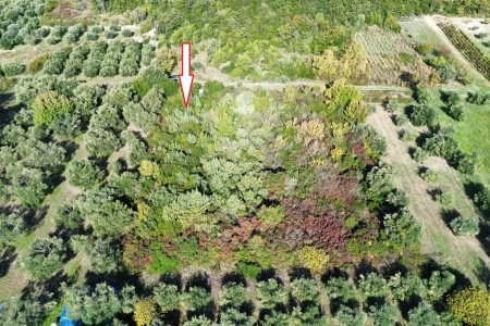 Suko&scaron;an - poljoprivredno zemlji&scaron;te okruženo maslinicima, 947 m2