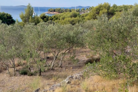 Murter, Kosirina - zemlji&scaron;te 150 m od mora s pogledom, 249 m2