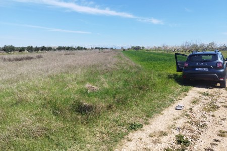 Zemunik - poljoprivredno zemlji&scaron;te uz put, 3302 m2