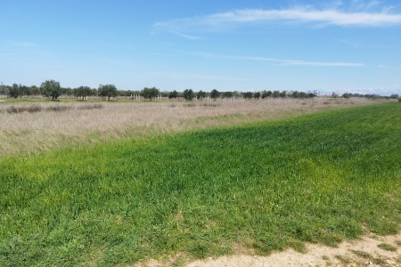 Zemunik - poljoprivredno zemlji&scaron;te uz put, 3302 m2