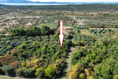Suko&scaron;an - poljoprivredno zemlji&scaron;te okruženo maslinicima, 947 m2
