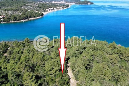 Pašman, Ždrelac - poljoprivredno zeljište drugi red do mora, 1796 m2