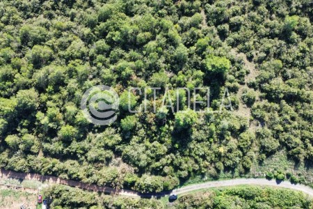 Zadar, Bokanjac - poljoprivredno zemlji&scaron;te uz put, 4516 m2