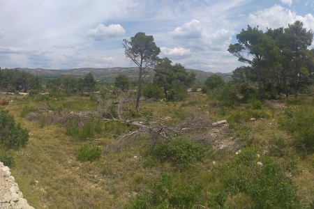 Brodarica - poljoprivredno zemljište s pogledom na more, 17332 m2