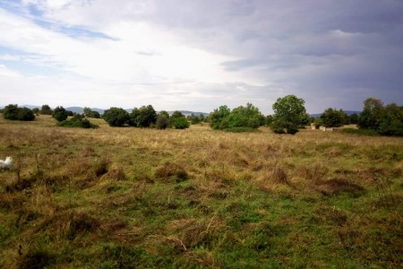 Udbina, Komić, 4 objekta na imanju od 20 hektara